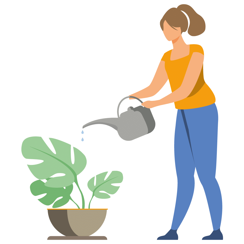 Illustration entretien des plantes - MMH SAP